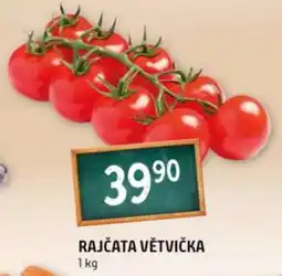 Terno RAJČATA VĚTVIČKA nabídka