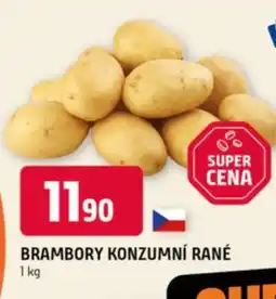 Terno Brambory konzumní rané nabídka