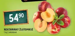 Terno Nektarinky žlutomasé nabídka