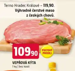 Terno VEPŘOVÁ KÝTA nabídka