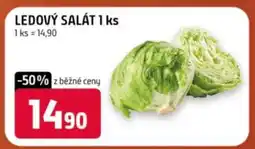 Terno Ledový salát 1 ks nabídka