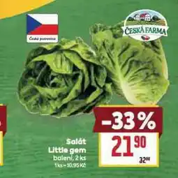 Billa Salát little gem nabídka