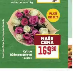 Billa Kytice růže pastelová nabídka
