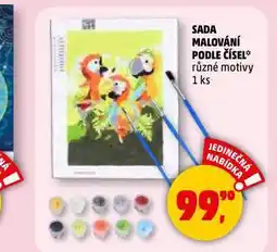 Penny Market Sada malování podle čísel nabídka