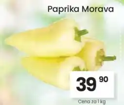Kubík potraviny Paprika Morava nabídka