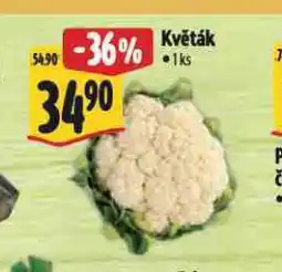 Albert Květák nabídka