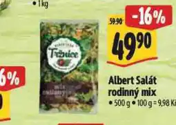 Albert Salát rodinný mix nabídka