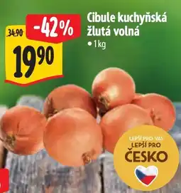Albert Cibule kuchyňská žlutá volná nabídka