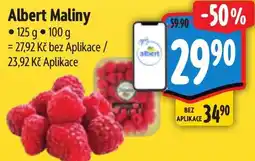 Albert Albert Maliny nabídka