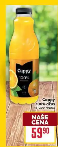 Billa Cappy 100% džus 1l nabídka