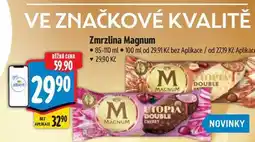 Albert Zmrzlina Magnum 85-110 ml nabídka