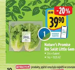 Albert Nature's Promise Bio Salát Little Gem 2 ks nabídka