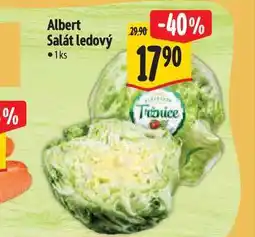 Albert Albert Salát ledový 1 ks nabídka