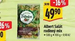 Albert Albert Salát rodinný mix 500 g nabídka
