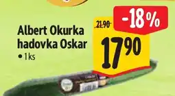 Albert Albert Okurka hadovka Oskar nabídka