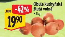 Albert Cibule kuchyňská žlutá volná nabídka