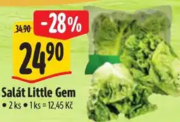 Albert Salát Little Gem nabídka