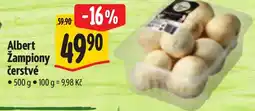 Albert Albert Žampiony čerstvé nabídka