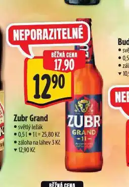 Albert Pivo zubr grand nabídka
