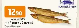 Trefa SLEĎ OBECNÝ UZENÝ 100g nabídka