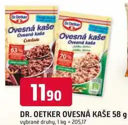 Trefa DR. OETKER OVESNÁ KAŠE 58 g nabídka