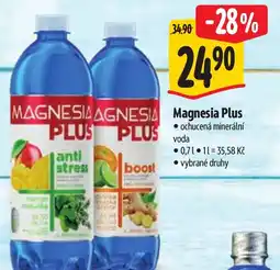 Albert Magnesia Plus nabídka