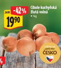 Albert Cibule kuchyňská žlutá volná nabídka