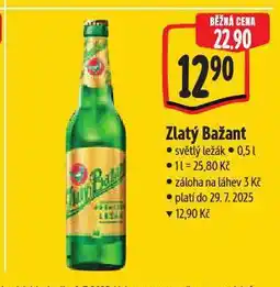 Albert Pivo zlatý bažant nabídka