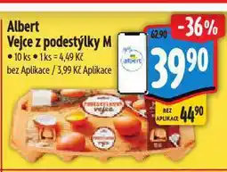 Albert Vejce m nabídka