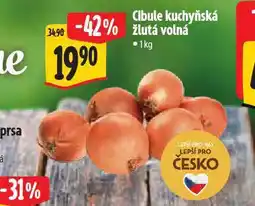Albert Cibule kuchyňská žlutá nabídka