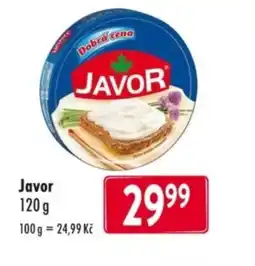Qanto Javor nabídka