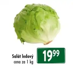 Qanto Salát ledový nabídka