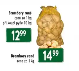 Qanto Brambory rané nabídka