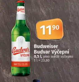 COOP TIP Budva Budvar Výčepní nabídka
