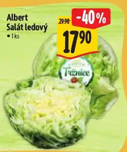 Albert Albert Salát ledový nabídka