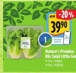 Albert Nature's Promise Bio Salát Little Gem nabídka
