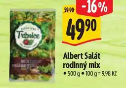 Albert Albert Salát rodinný mix nabídka