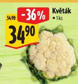 Albert Květák • 1ks nabídka
