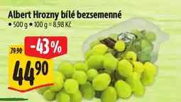 Albert Albert Hrozny bílé bezsemenné nabídka