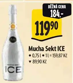 Albert Mucha Sekt ICE nabídka