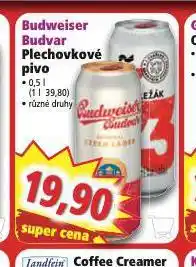 Norma Pivo budweiser budvar original nabídka