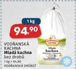 VODŇANSKÁ KACHNA Mladá kachna