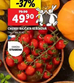 Lidl Cherry rajčata keříková nabídka