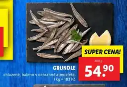 Lidl Grundle nabídka