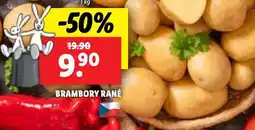 Lidl Brambory rané nabídka