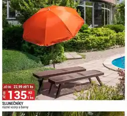 Merkury Market SLUNEČNÍKY nabídka