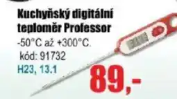EVA Kuchyňský digitální teploměr Professor nabídka