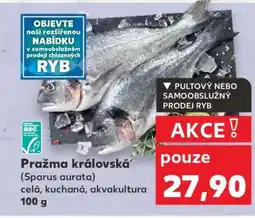 Kaufland Pražma královská nabídka