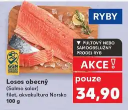 Kaufland LOSOS OBECNÝ nabídka