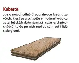 Bauhaus Koberce nabídka